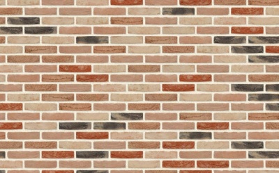 Кирпич ручной формовки Nelissen Hoevesteen T15, 215*100*65 мм